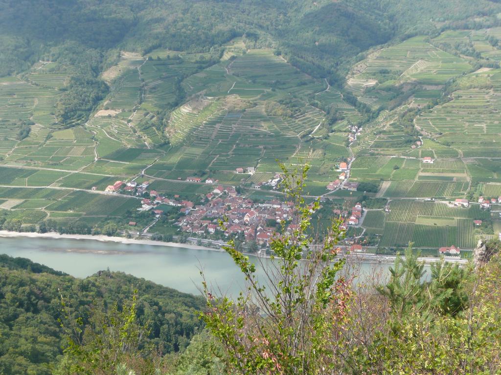 Weingut Langmayer Wosendorf in der Wachau Экстерьер фото