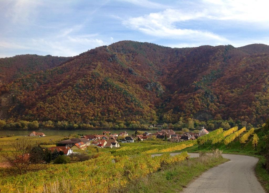 Weingut Langmayer Wosendorf in der Wachau Экстерьер фото