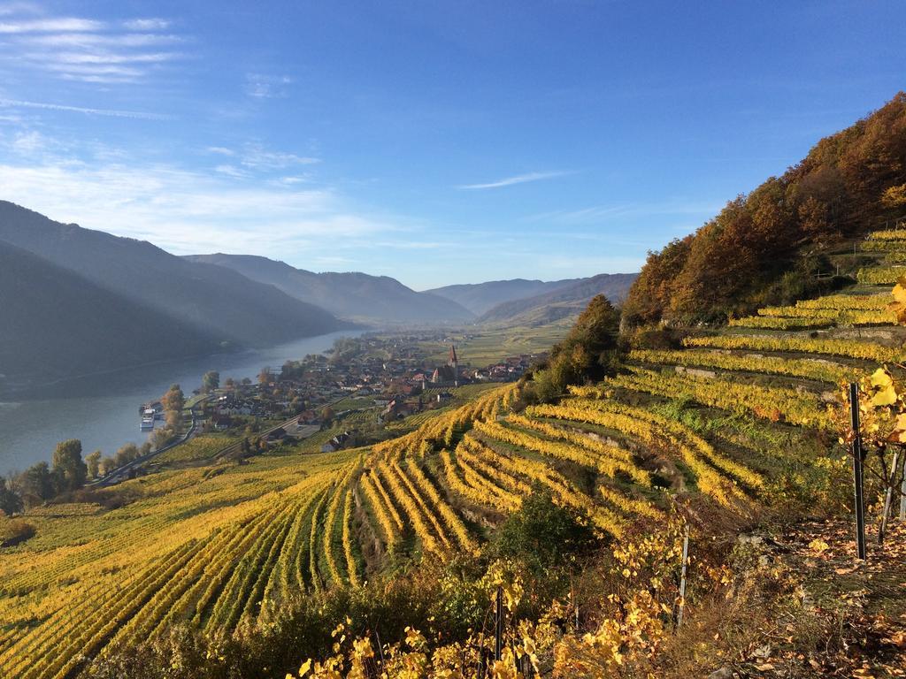 Weingut Langmayer Wosendorf in der Wachau Экстерьер фото
