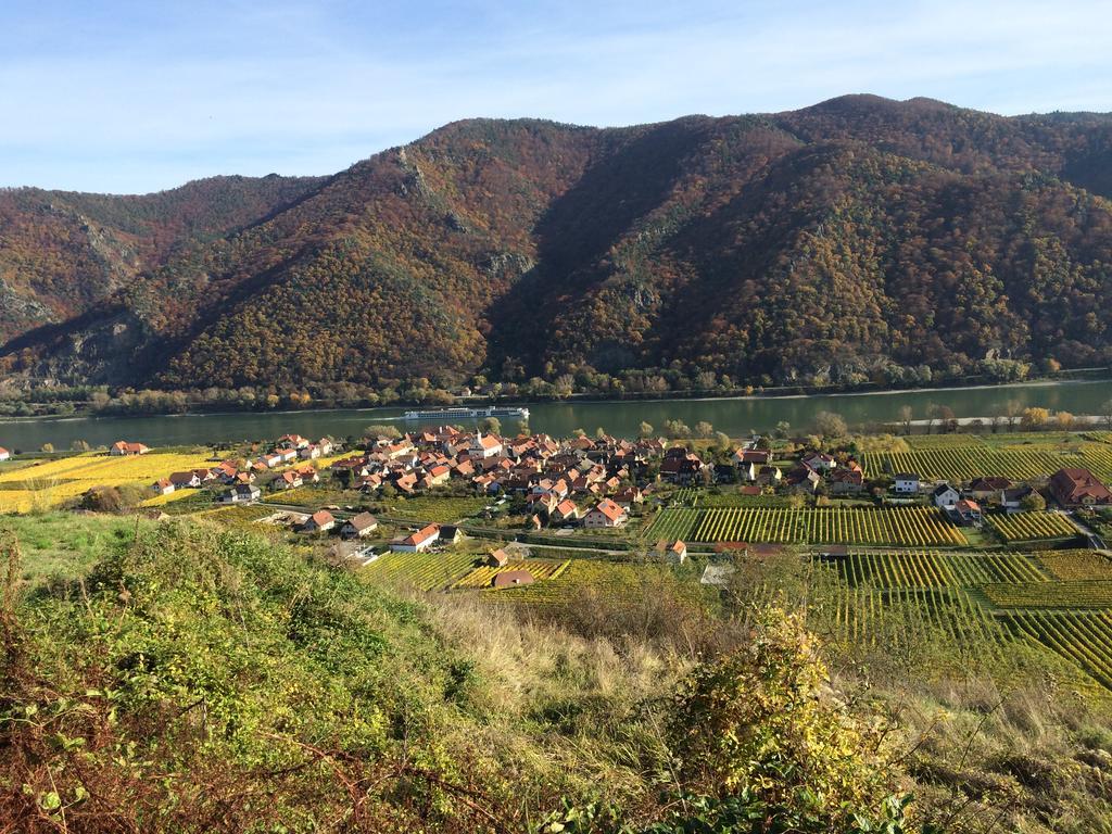 Weingut Langmayer Wosendorf in der Wachau Экстерьер фото